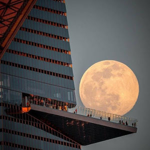 Meet your Posher, Liliana